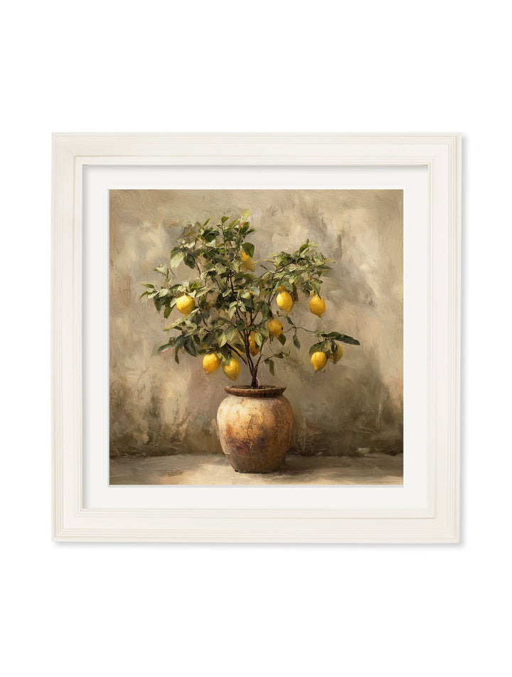Mediterranean Lemon Tree - Cream Hurstwood Square Frame - TheArtistsQuarter