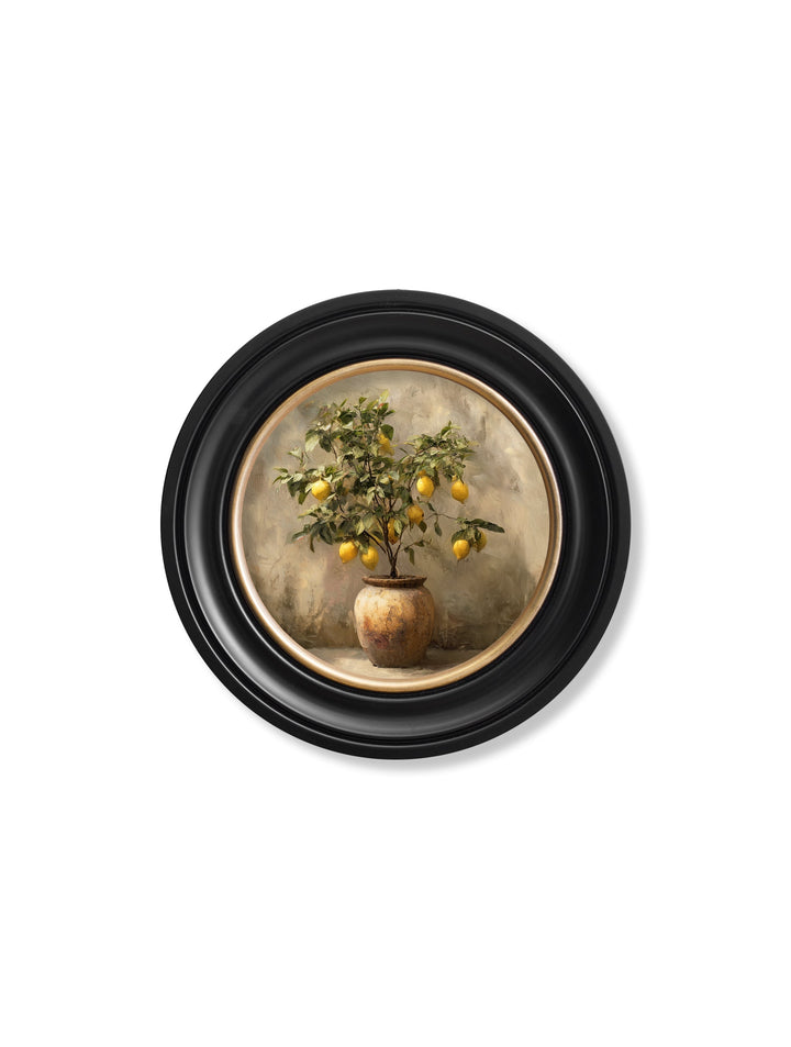 Mediterranean Lemon Tree - Oxford Round Frame - TheArtistsQuarter
