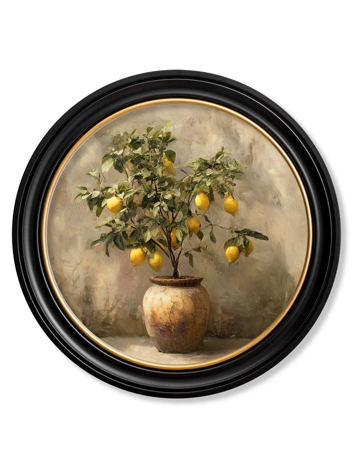 Mediterranean Lemon Tree - Oxford Round Frame - TheArtistsQuarter