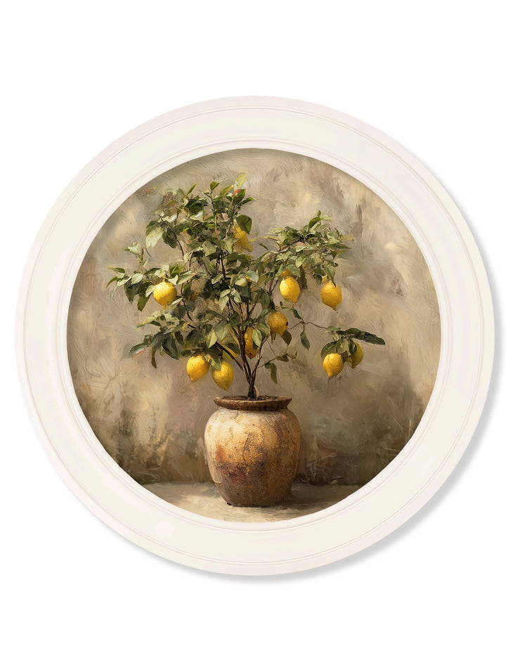 Mediterranean Lemon Tree - Oxford Strong White Round Frame - TheArtistsQuarter