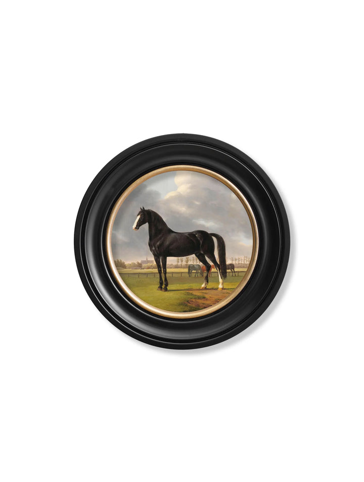 c.1840 Horses - Round Frame - TheArtistsQuarter