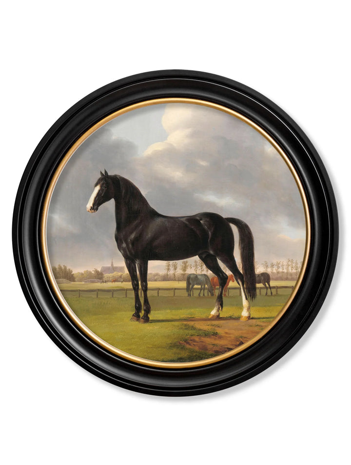 c.1840 Horses - Round Frame - TheArtistsQuarter