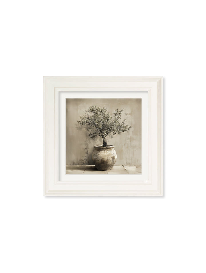 The Olive Tree - Cream Hurstwood Square Frame - TheArtistsQuarter