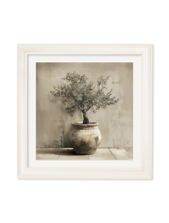 The Olive Tree - Cream Hurstwood Square Frame - TheArtistsQuarter