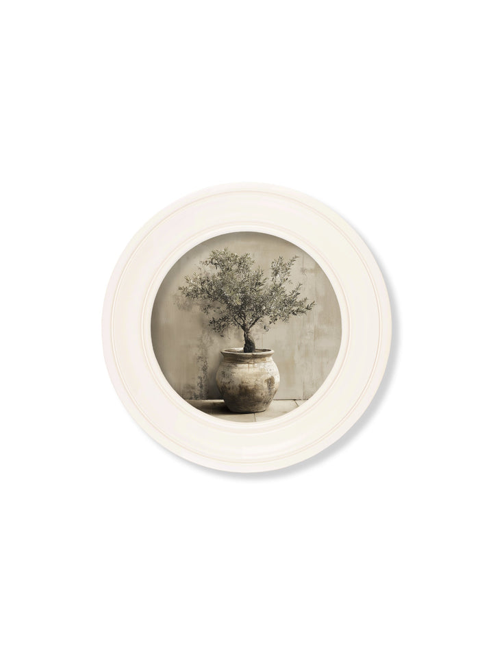 The Olive Tree - Oxford Strong White Round Frame - TheArtistsQuarter