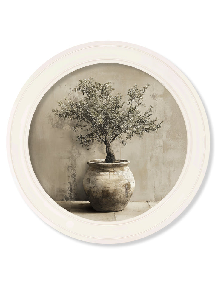 The Olive Tree - Oxford Strong White Round Frame - TheArtistsQuarter