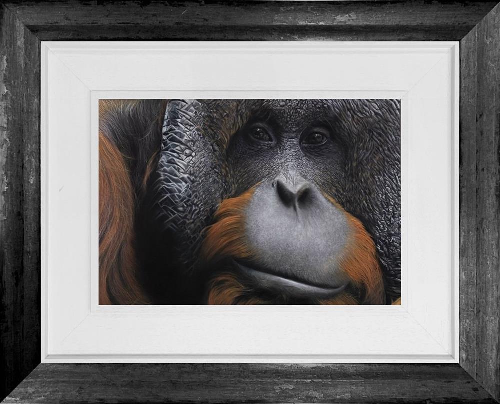 Orangutan by Clare Parkes (Original) - TheArtistsQuarter