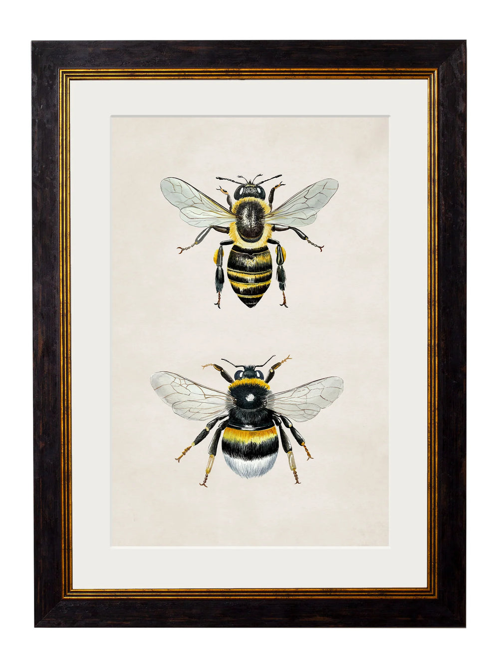 Honey and Bumble Bee - TheArtistsQuarter