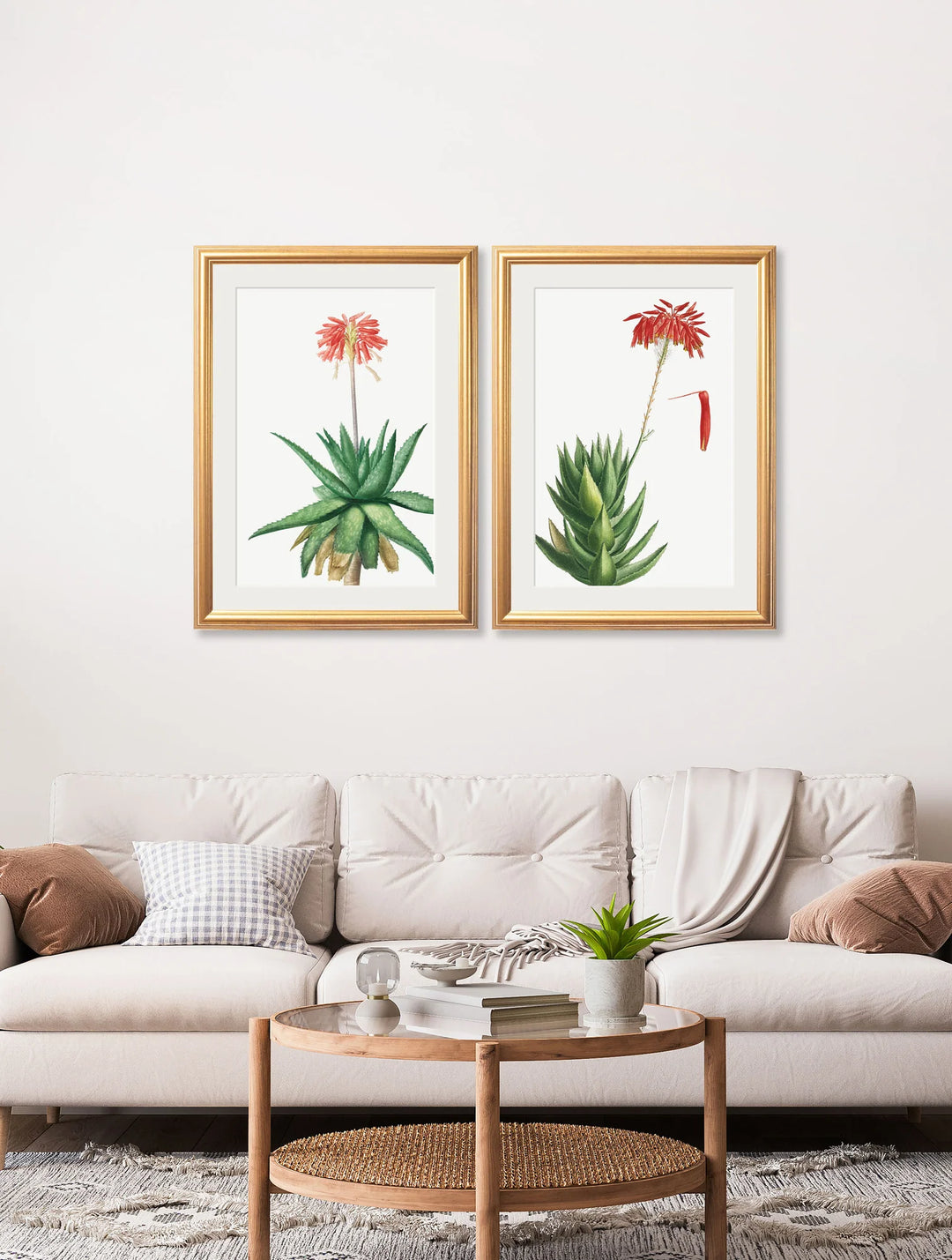 Red Floral Illustrations Set of 2 Prints - TheArtistsQuarter