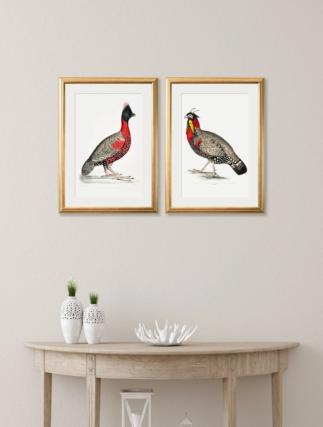 c.1800's Black Headed Pheasants - TheArtistsQuarter