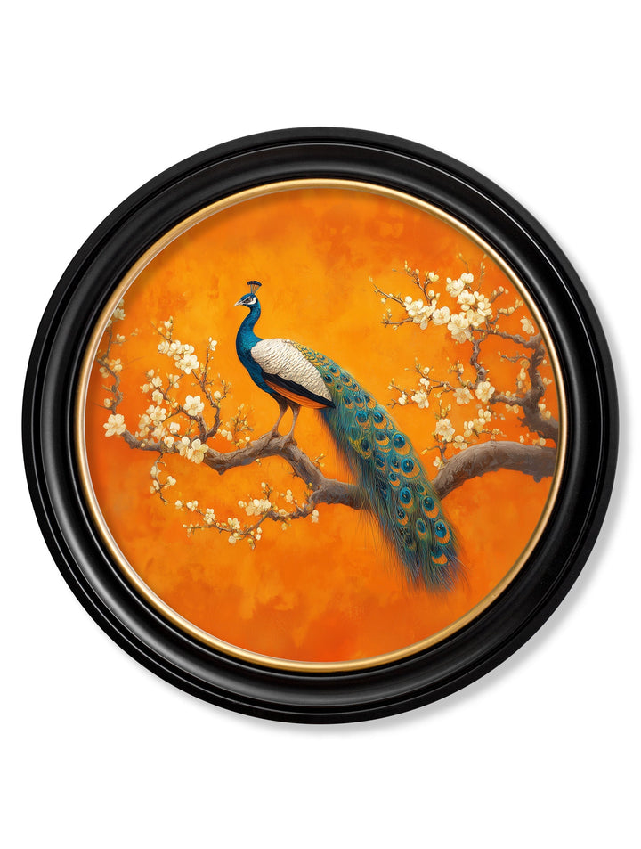 Peacocks In Saffron Garden - Oxford Round Frame - TheArtistsQuarter