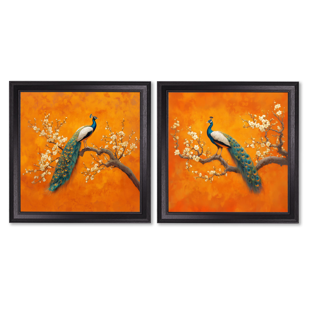 Peacocks In Saffron Garden - Black Hurstwood Square Frame - TheArtistsQuarter