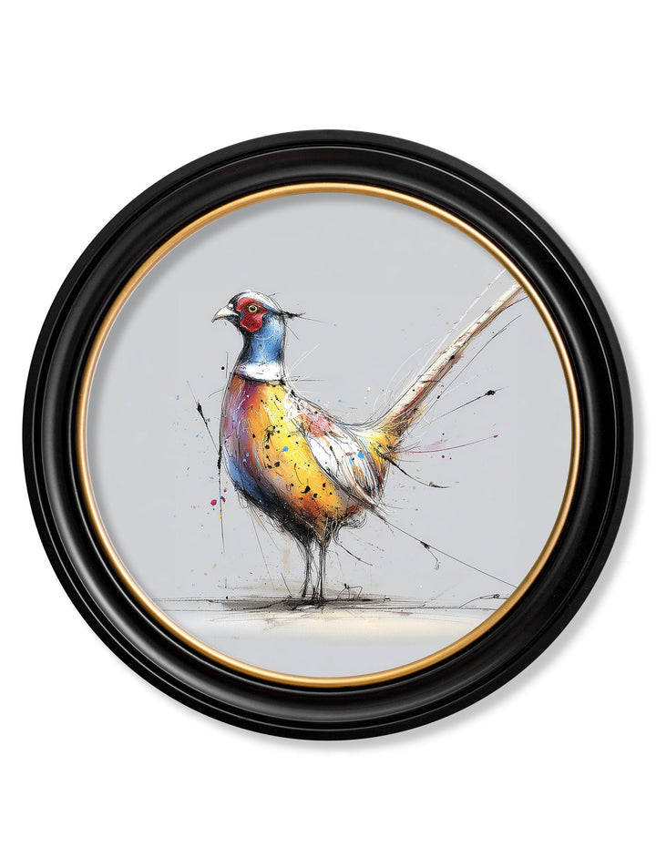 Plump Pheasant Cosy Sketch - Oxford Round Frame - TheArtistsQuarter