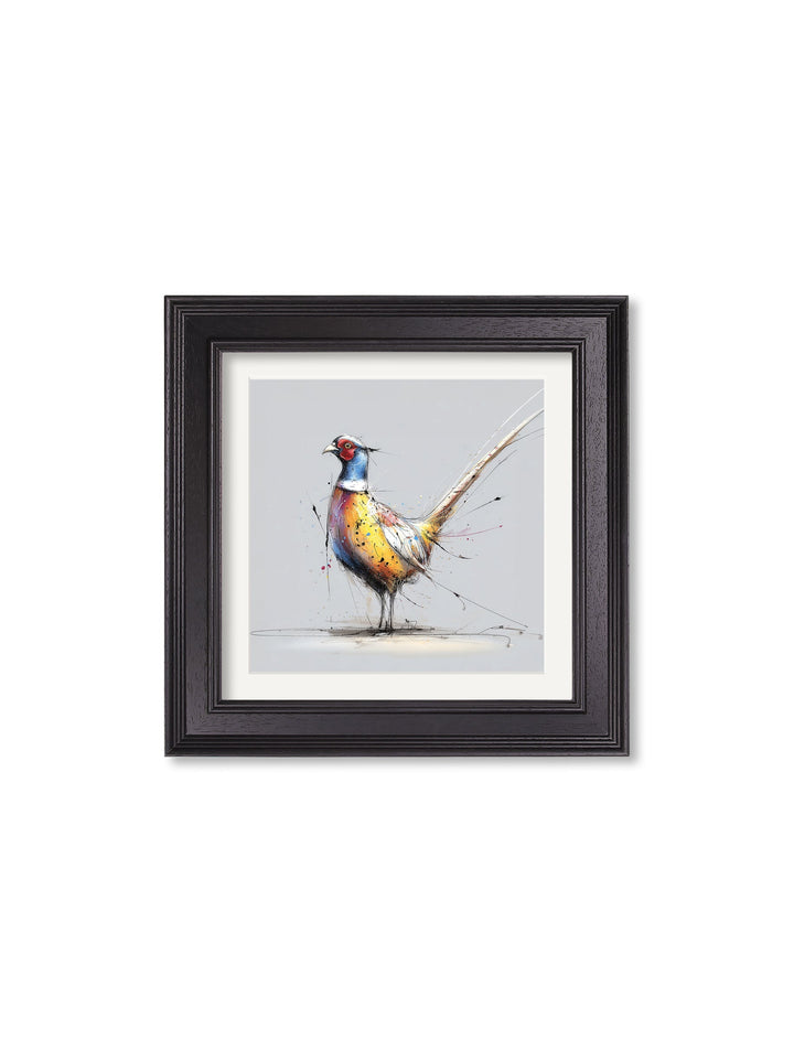 Plump Pheasant Cosy Sketch - Black Hurstwood Square Frame - TheArtistsQuarter