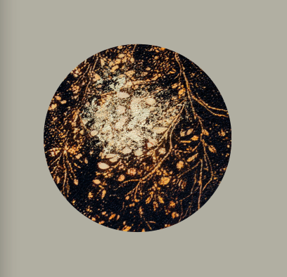 Golden Tree By M.Torelli - TheArtistsQuarter