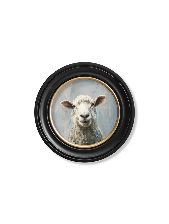 The Jolly Sheep - Oxford Round Frame - TheArtistsQuarter