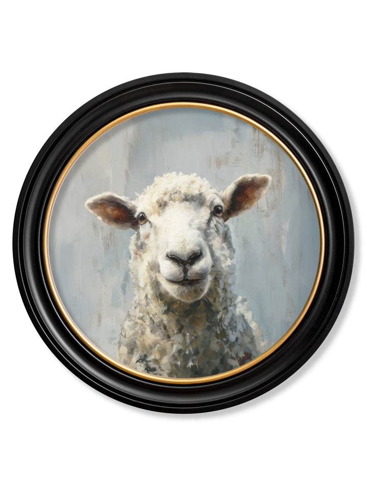 The Jolly Sheep - Oxford Round Frame - TheArtistsQuarter