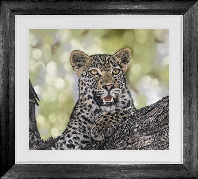 Wild at Heart by Clare Parkes (Original) - TheArtistsQuarter