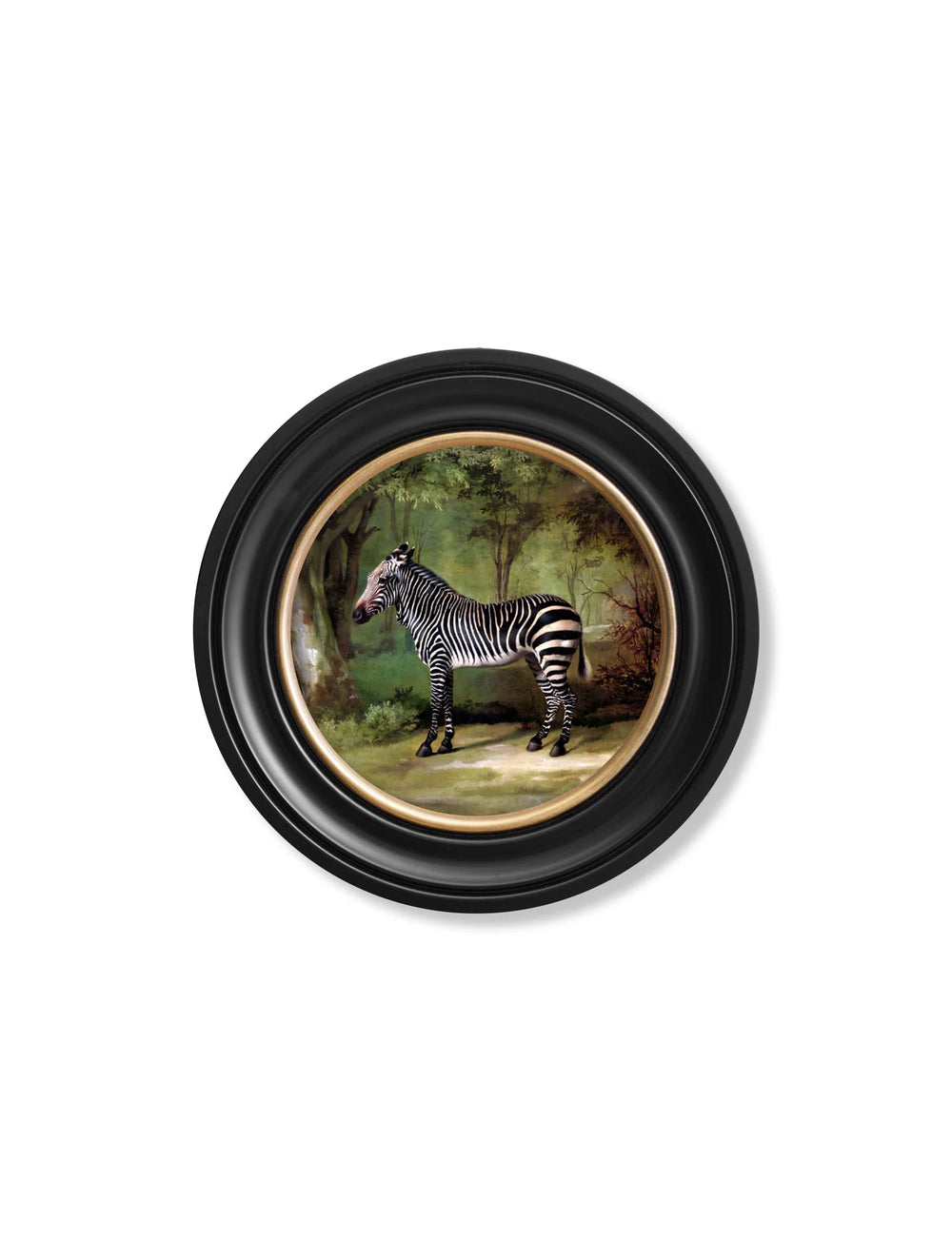 c.1763 George Stubb's Zebra - Round Frame - TheArtistsQuarter