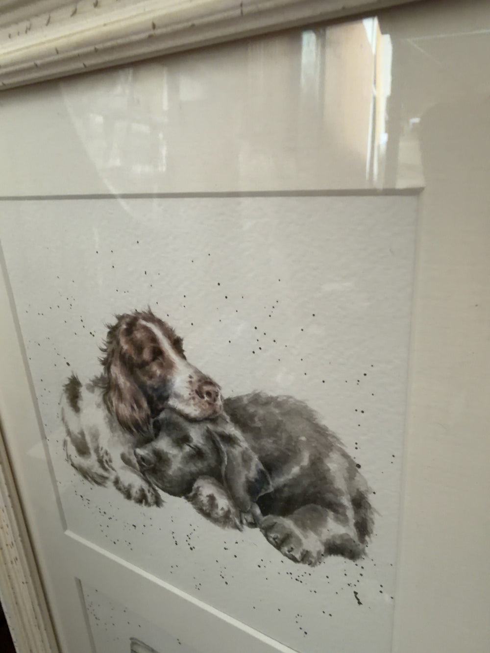 A Dog's Day Out Trial - TheArtistsQuarter