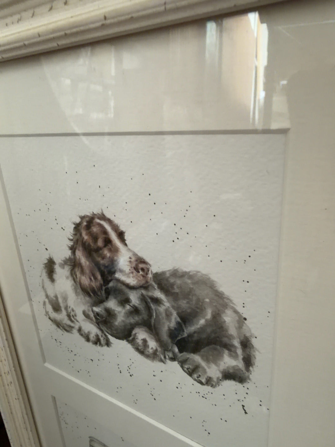 A Dog's Day Out Trial - TheArtistsQuarter