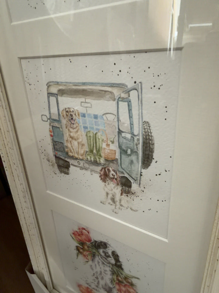 A Dog's Day Out Trial - TheArtistsQuarter