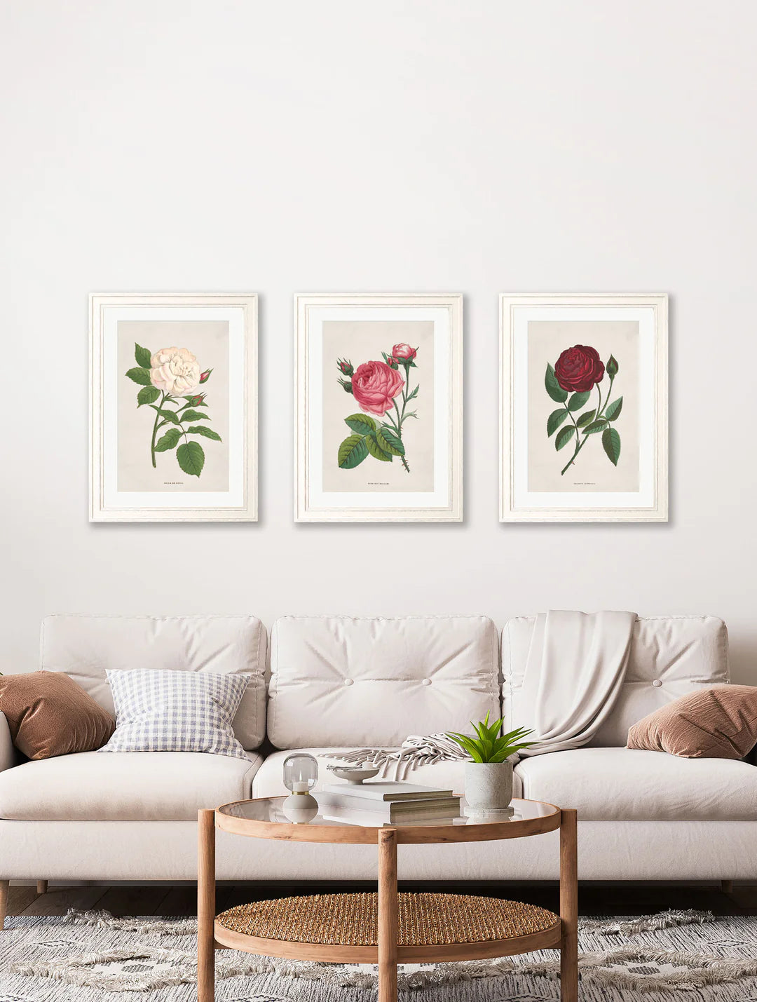 Rose Floral Illustrations - TheArtistsQuarter