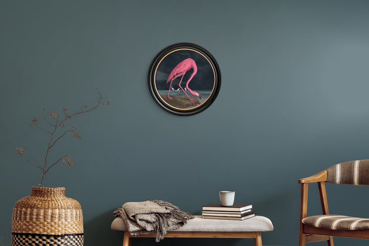 C.1838 Audubon's American Flamingo Round Frame - TheArtistsQuarter