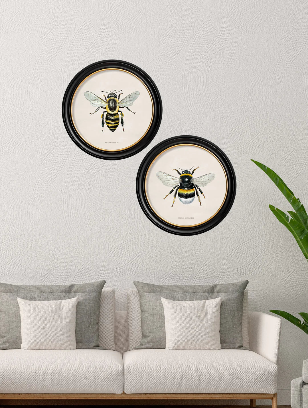 C1892 British Bees Round Frame - TheArtistsQuarter