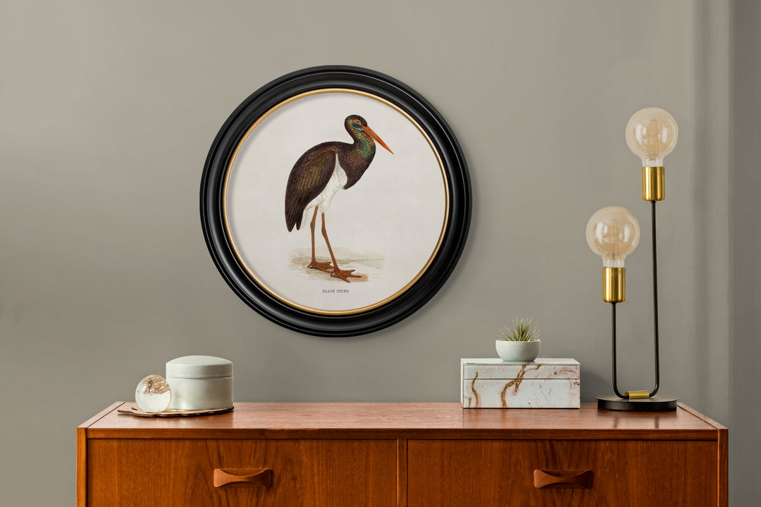 c.1870 Wading Birds in Round Frames - TheArtistsQuarter