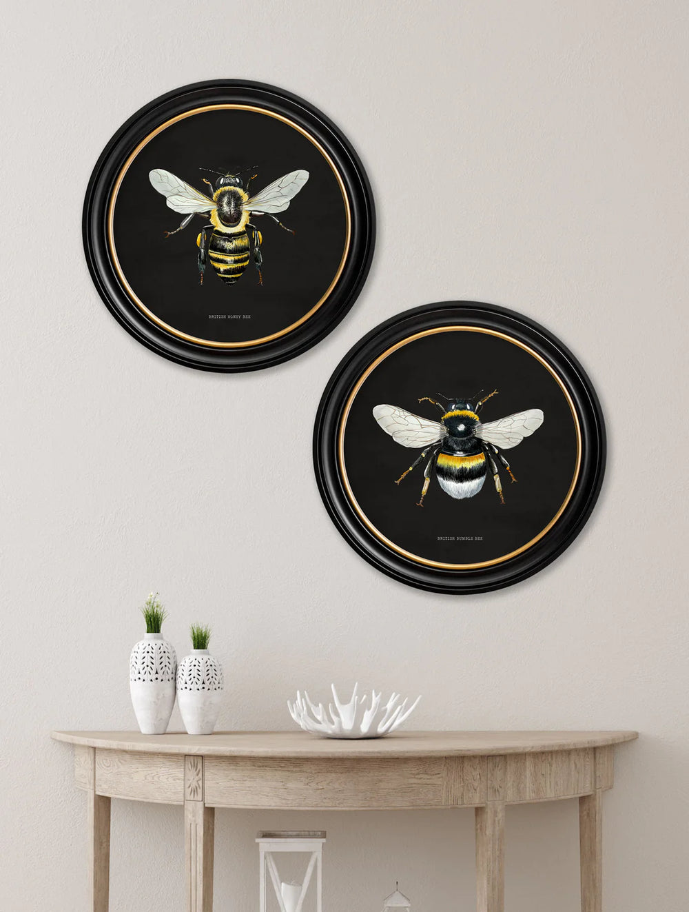 C1892 British Bees Round Frame - TheArtistsQuarter