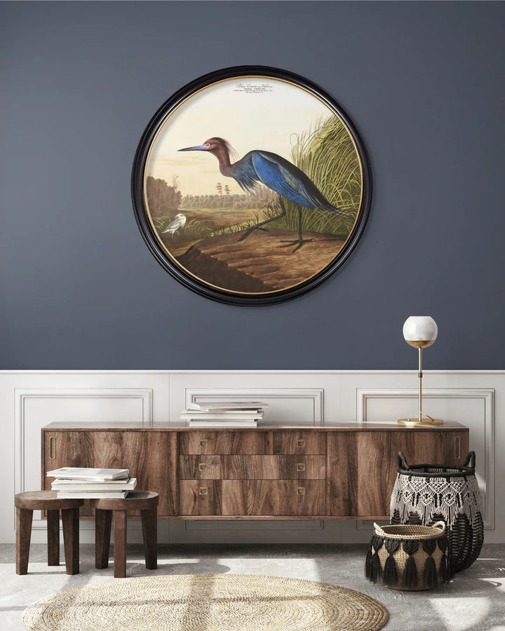 C.1838 Audubon's Herons - Round Frame - TheArtistsQuarter