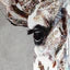 In the Wild I Framed Canvas By Marie Bastid - TheArtistsQuarter