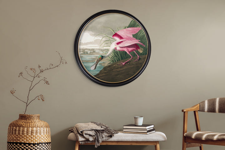 C.1838 Audubon's Roseate Spoonbill Round Frame - TheArtistsQuarter