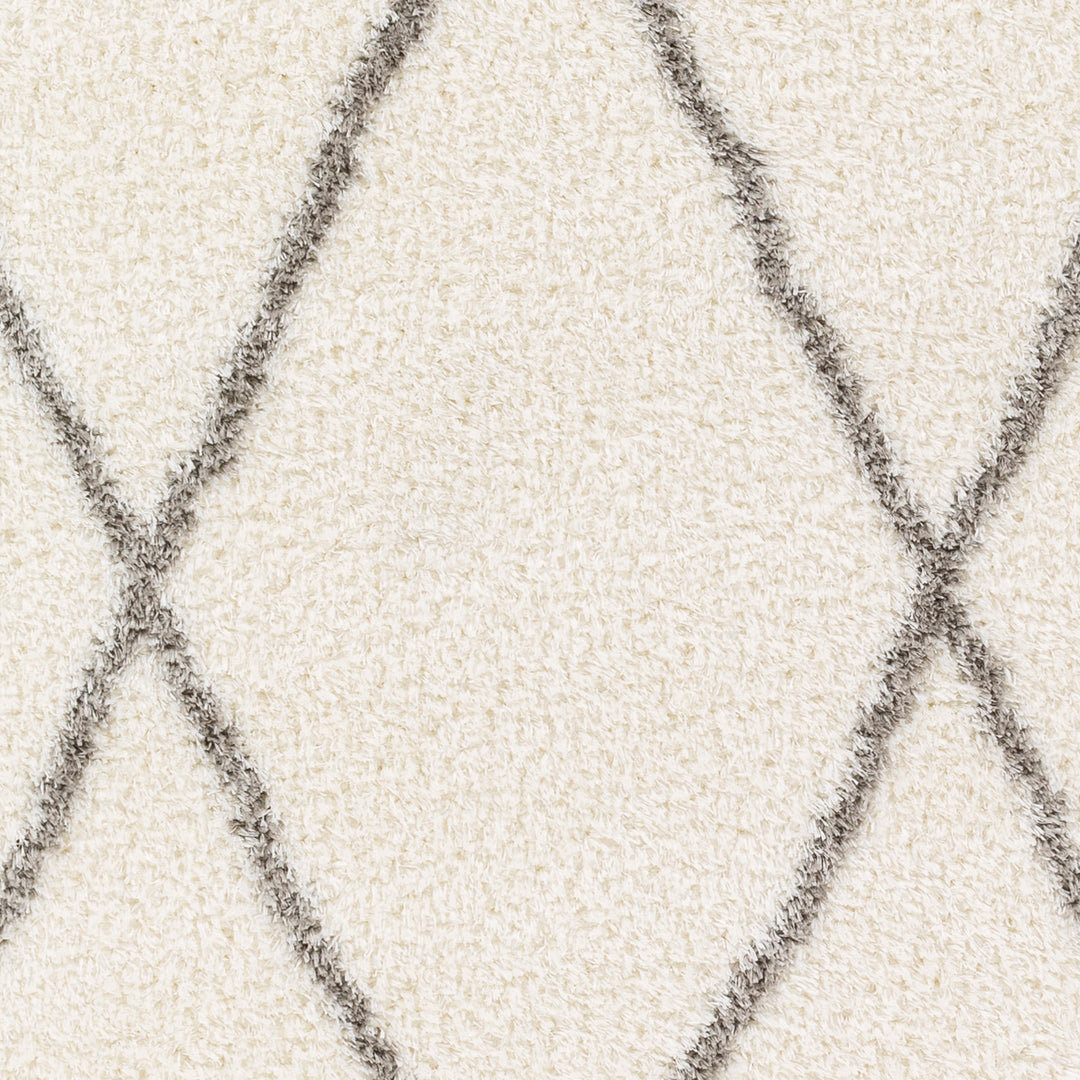 Cloudy Shaggy Rug Ivory & Off-White - TheArtistsQuarter