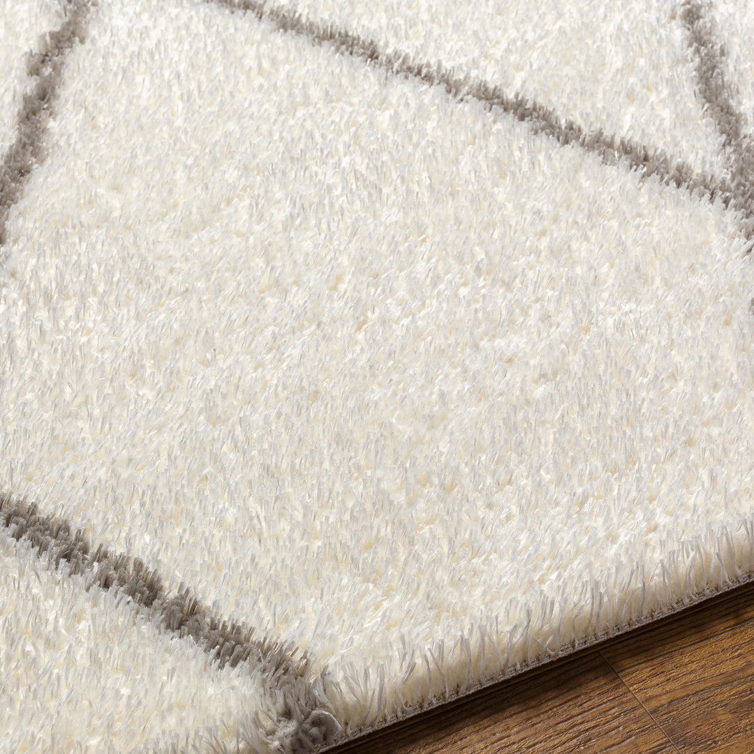 Cloudy Shaggy Rug Ivory & Off-White - TheArtistsQuarter