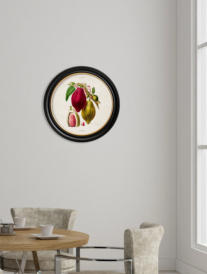 c.1843 Chocolate Plant - Round Frame - TheArtistsQuarter