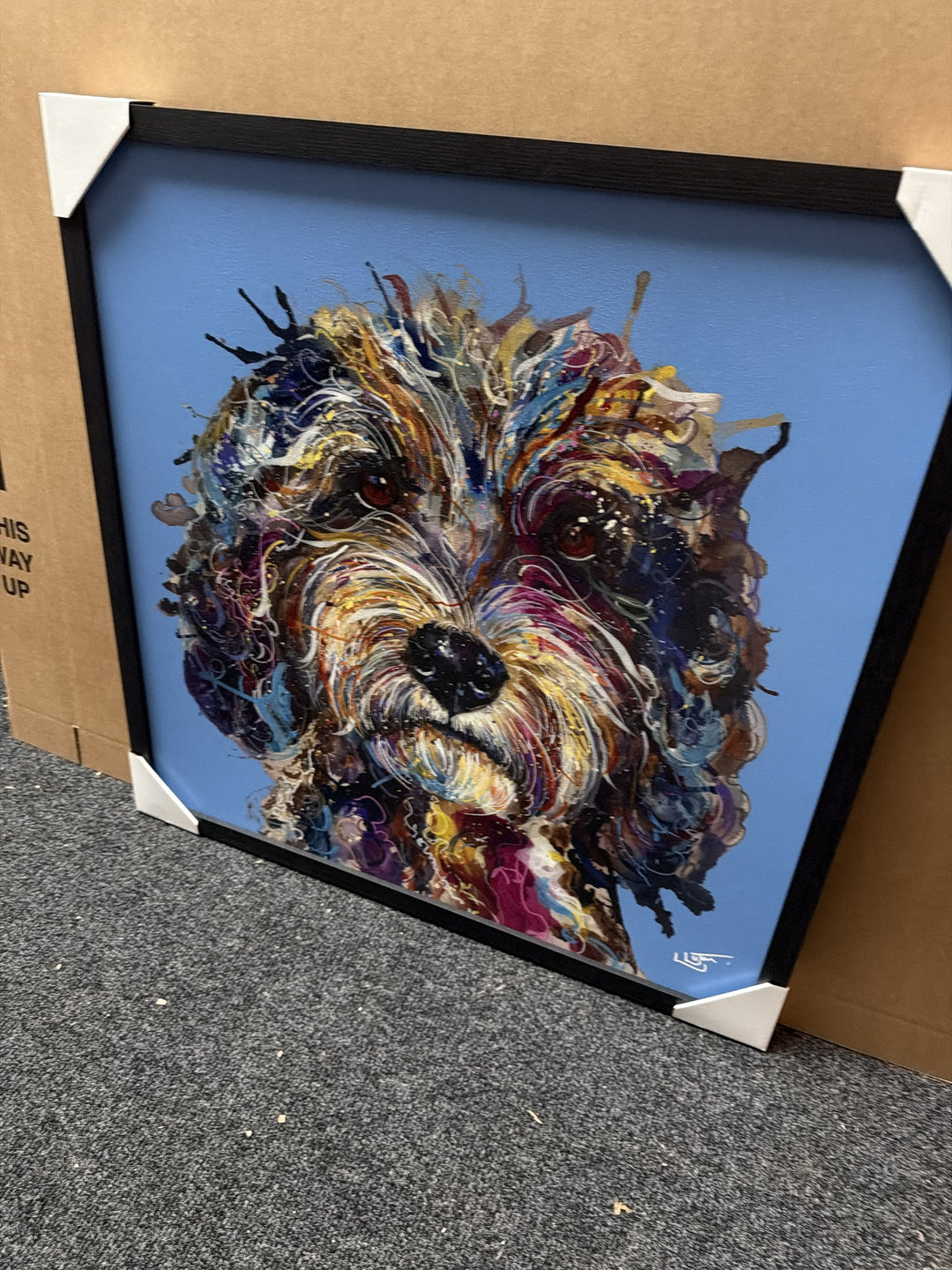 Cockapoo By Louise Luton, colourful dog portrait on a blue background in a black frame