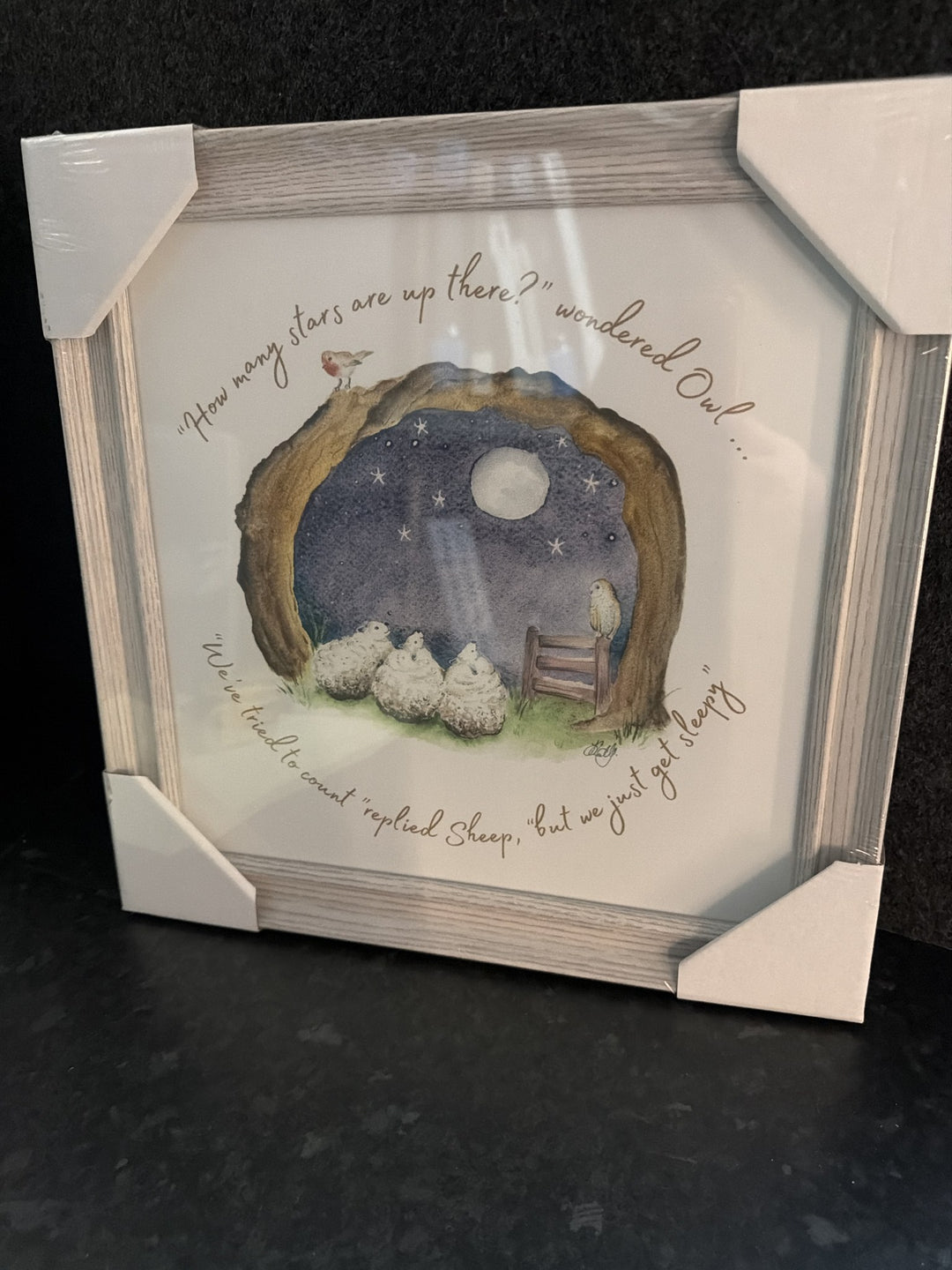 Counting Stars By Sarah Reilly
