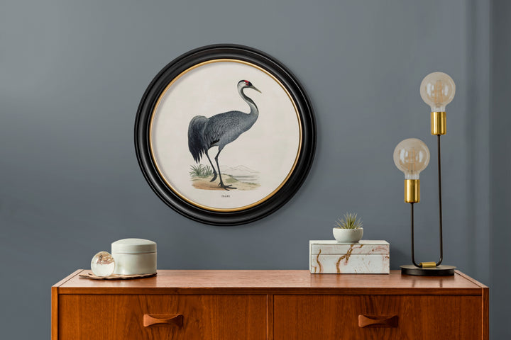 c.1870 Wading Birds in Round Frames - TheArtistsQuarter