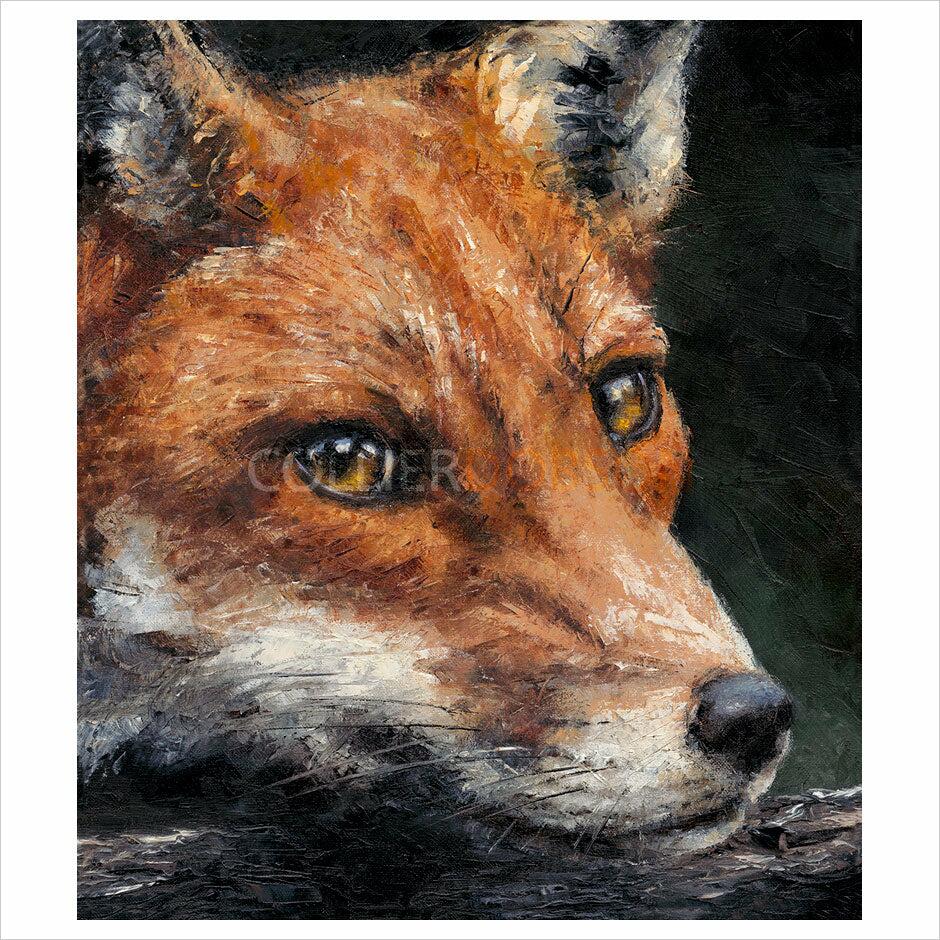 Red Fox Study By Anthony Dobson - TheArtistsQuarter