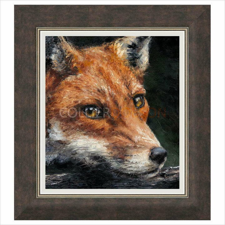 Red Fox Study By Anthony Dobson - TheArtistsQuarter