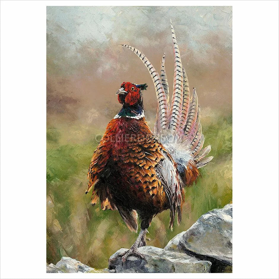 Cock o'The North By Anthony Dobson - TheArtistsQuarter
