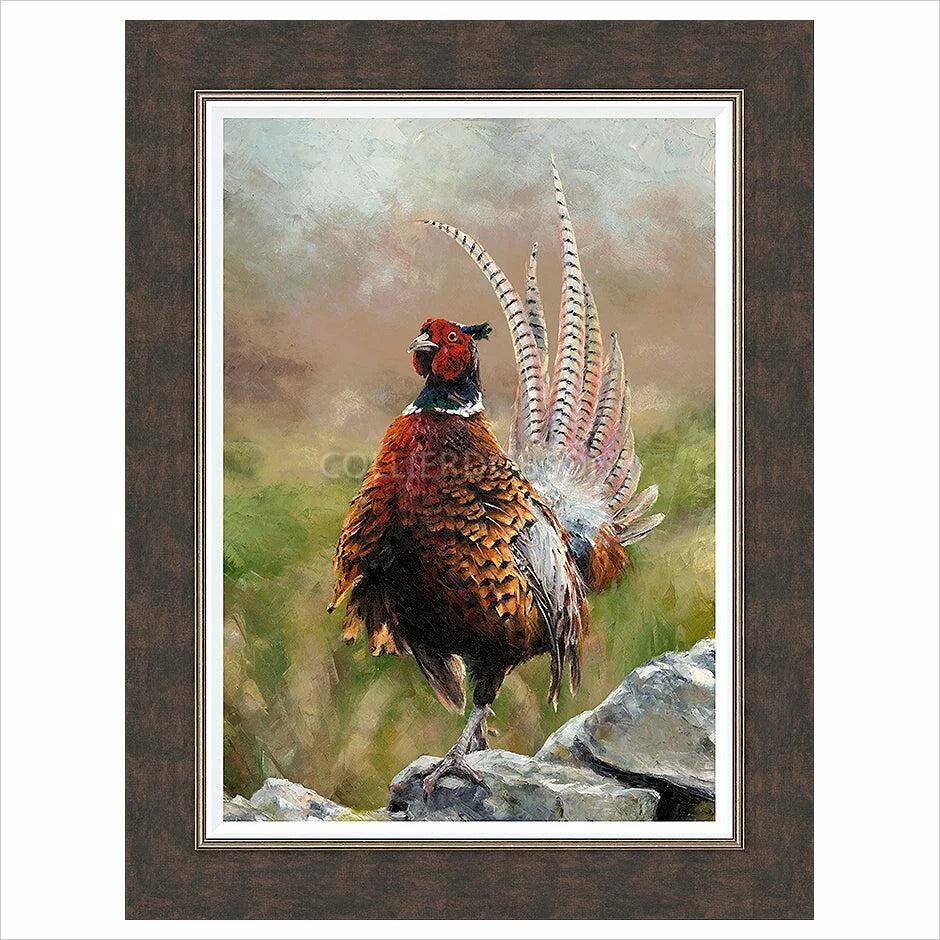 Cock o'The North By Anthony Dobson - TheArtistsQuarter