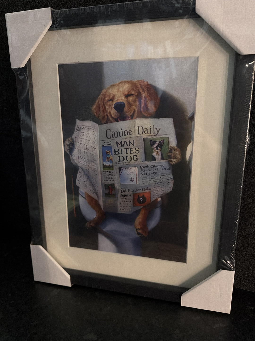 Dog Gone Funny By Lucia Heffernan - golden retriever reading the Canine Daily, black frame