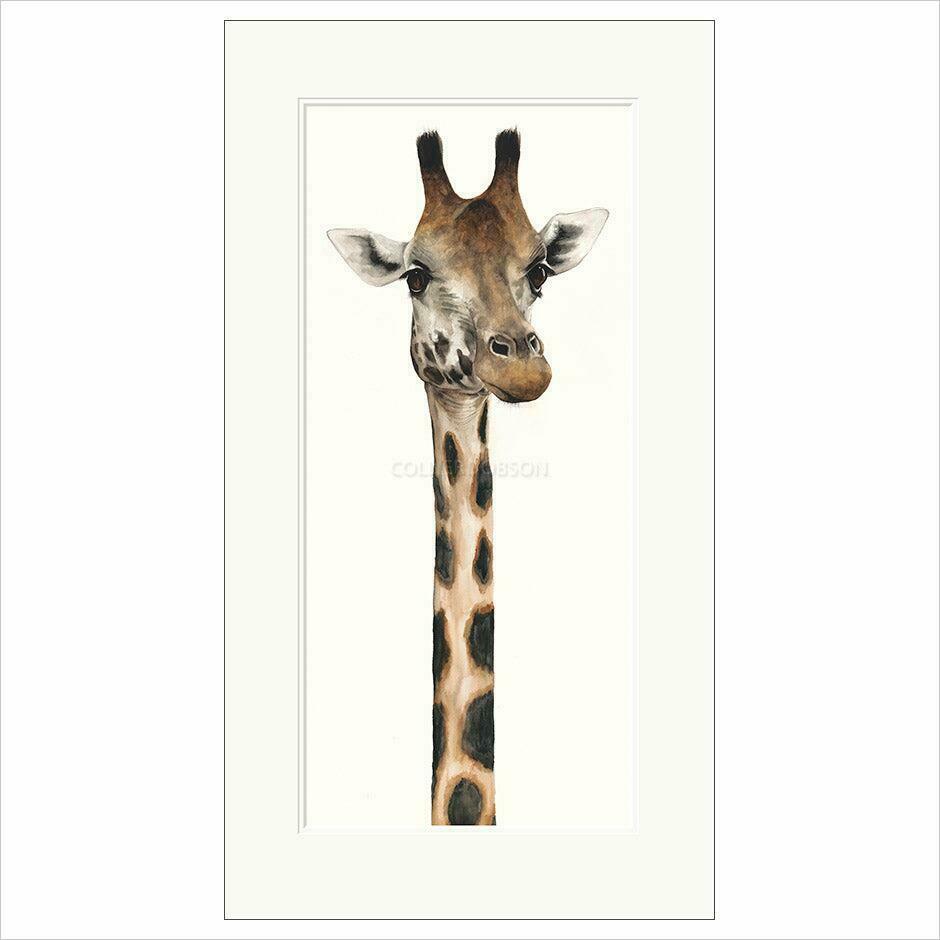 Tall, Dappled and Handsome By Dominique Salm - TheArtistsQuarter