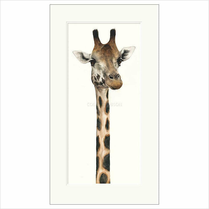 Tall, Dappled and Handsome By Dominique Salm - TheArtistsQuarter