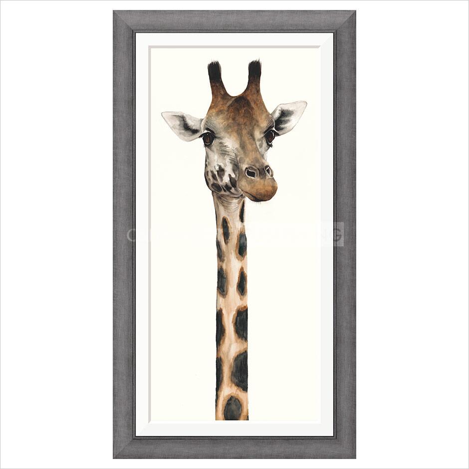 Tall, Dappled and Handsome By Dominique Salm - TheArtistsQuarter