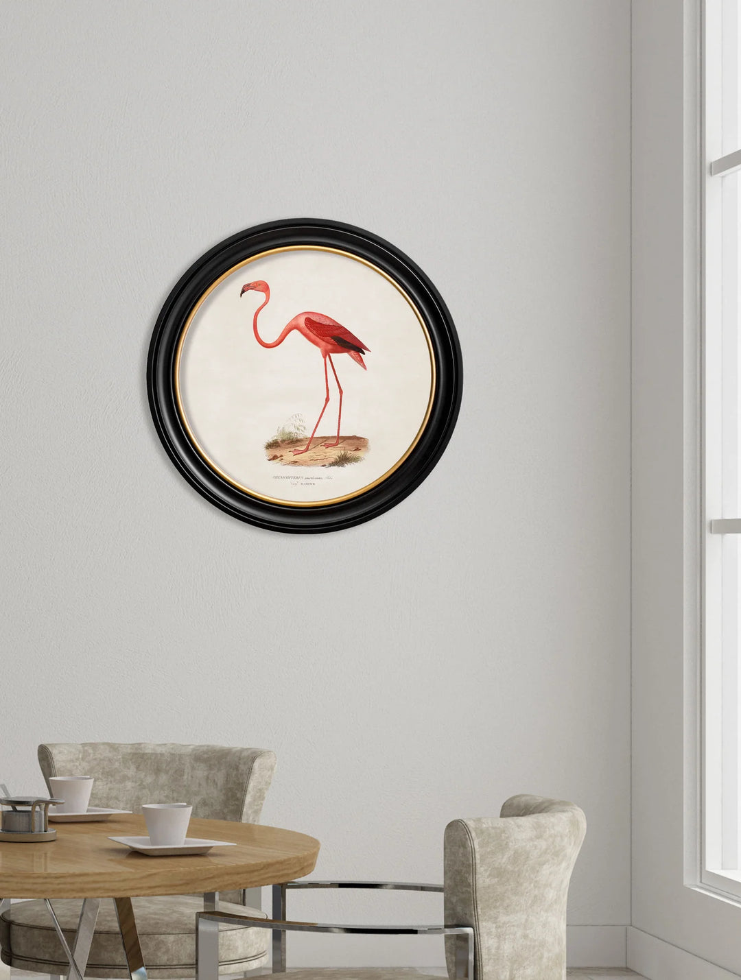 c.1830 Flamingo - Round Frame - TheArtistsQuarter