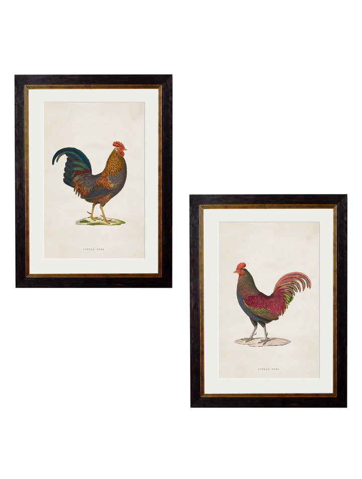 c.1838 Junglefowl - TheArtistsQuarter